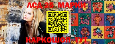 шишки Заводоуковск