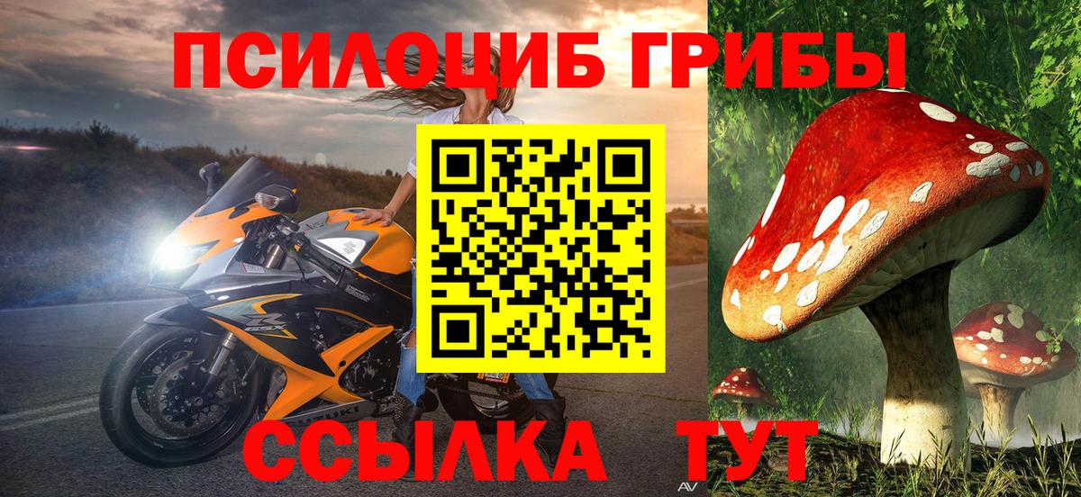 как найти наркотики  Галлюциногенные грибы GOLDEN TEACHER  Вход с VPN  Мыски 