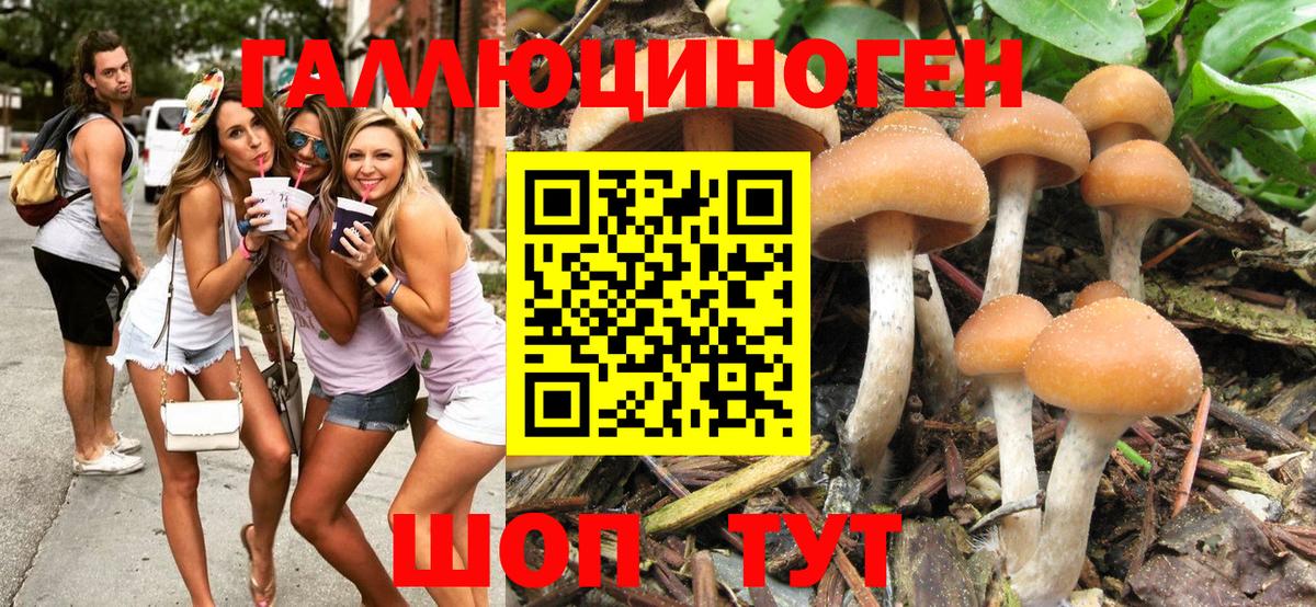 Псилоцибиновые грибы ЛСД Мыски
